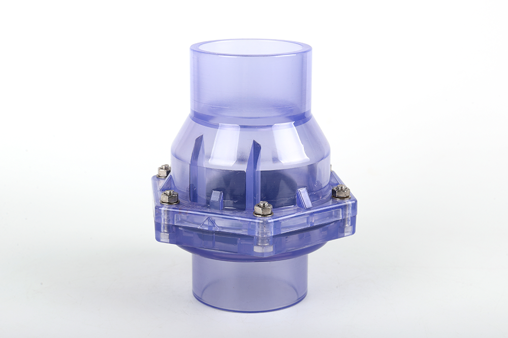 临城透明翻板式止回阀